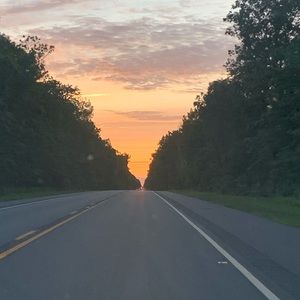 Meet your Posher, Diane